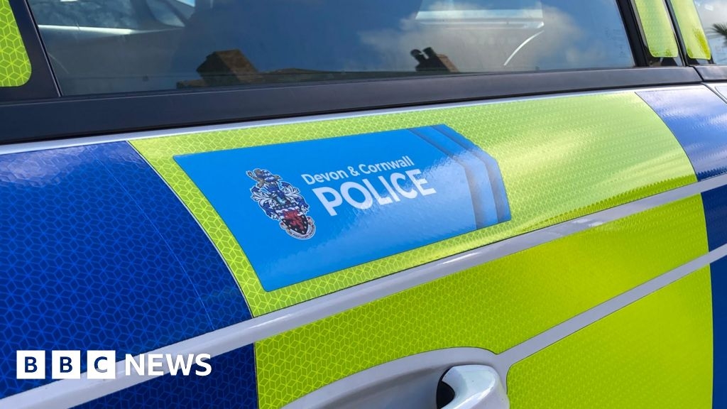 Two men escape car that burst into flames after hitting trees