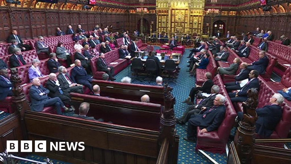 Peers seek tax rise safeguards for health workers