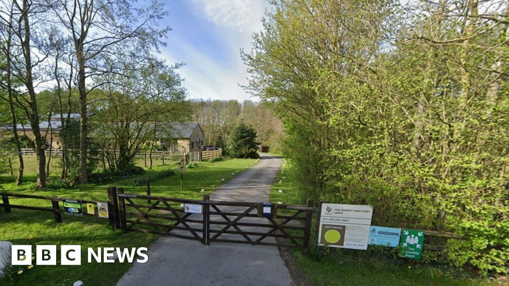 Ex-donkey sanctuary sale could earn Leeds City Council £790k