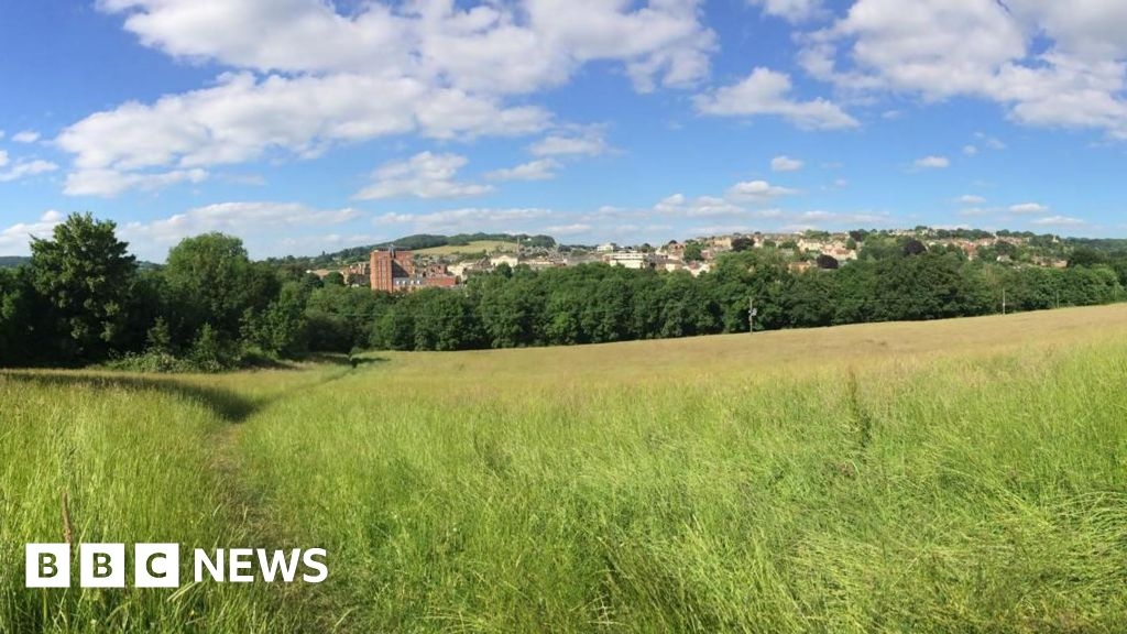 Rodborough Fields campaigners raise £200k to buy green space