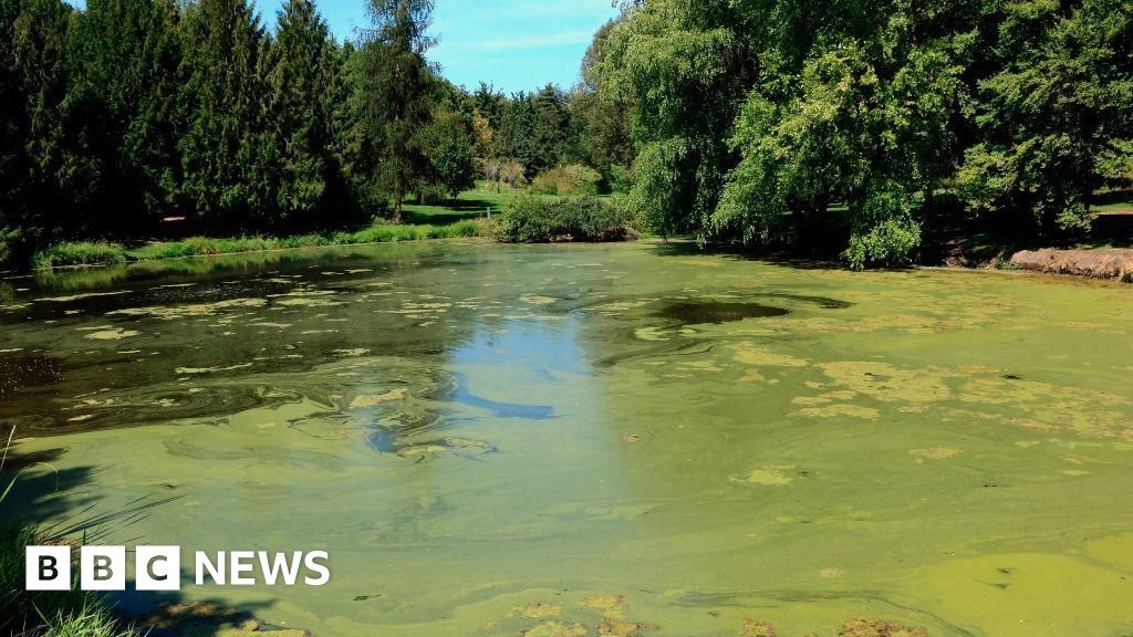 Algae warning to visitors at Scunthorpe nature reserve