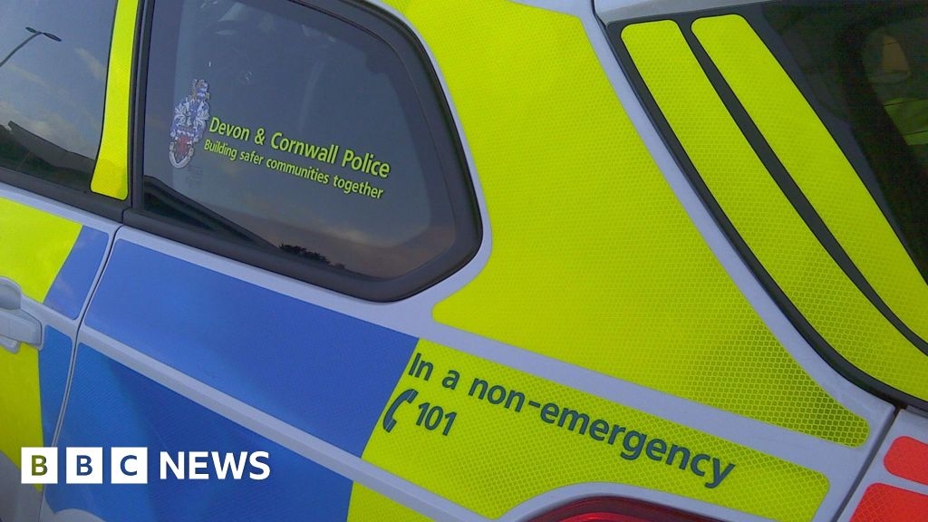 Devon Harley Davidson biker dies in collision with parked car