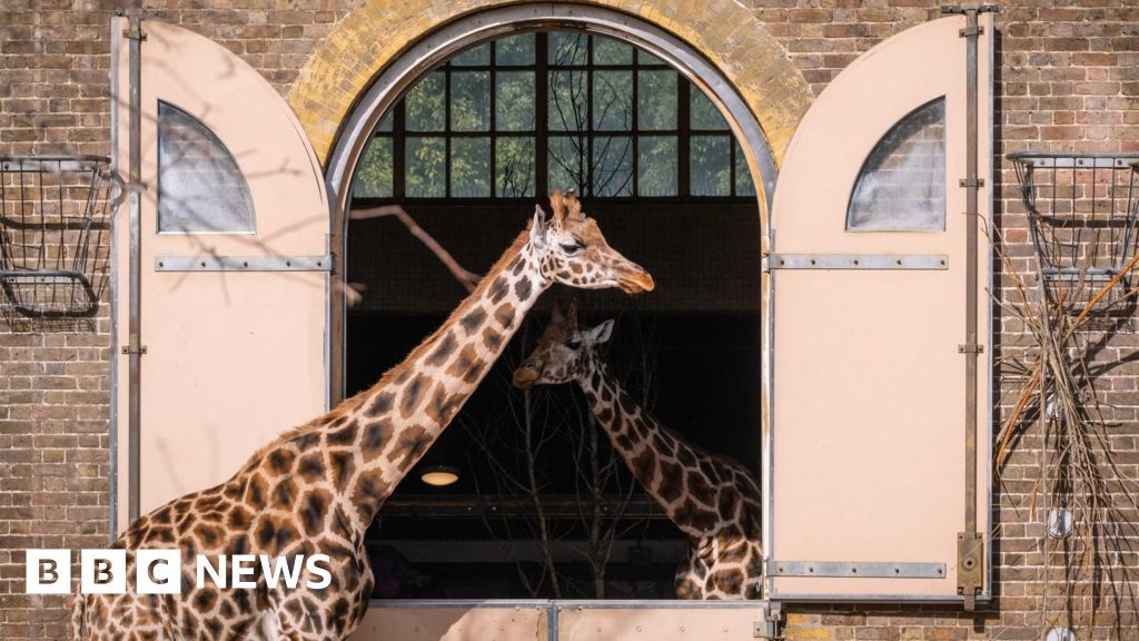 London Zoo: Digital simulation depicts the attraction in 1904