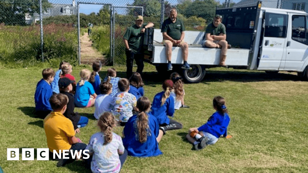 Schoolchildren from Guernsey create pollinator-friendly space