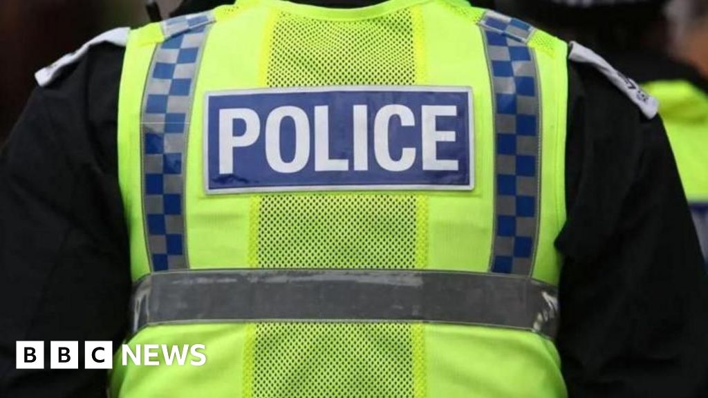 Carlisle woman in court over attempted murder of two police officers