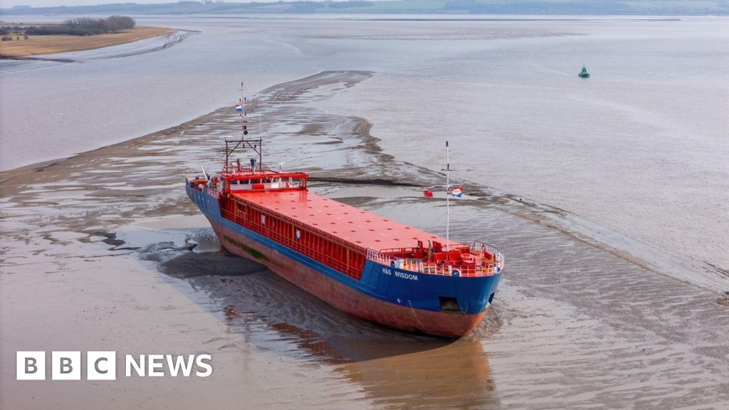 Cargo ship runs aground in Humber near Brough