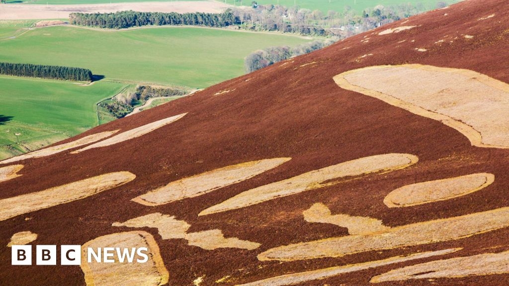 Wildfire warning over new 'muirburn' controlled burning rules