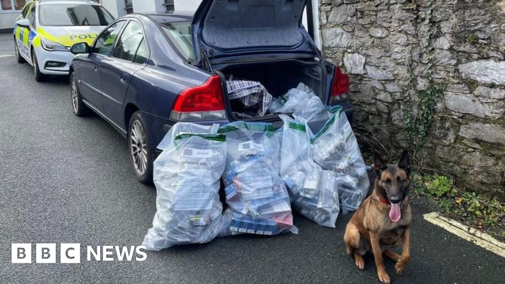Illegal tobacco and vapes seized from Newton Abbot shop