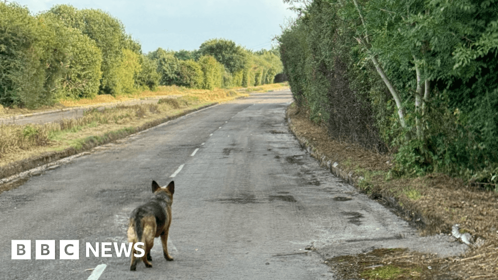 No plans to finish Yate's 'road to nowhere'