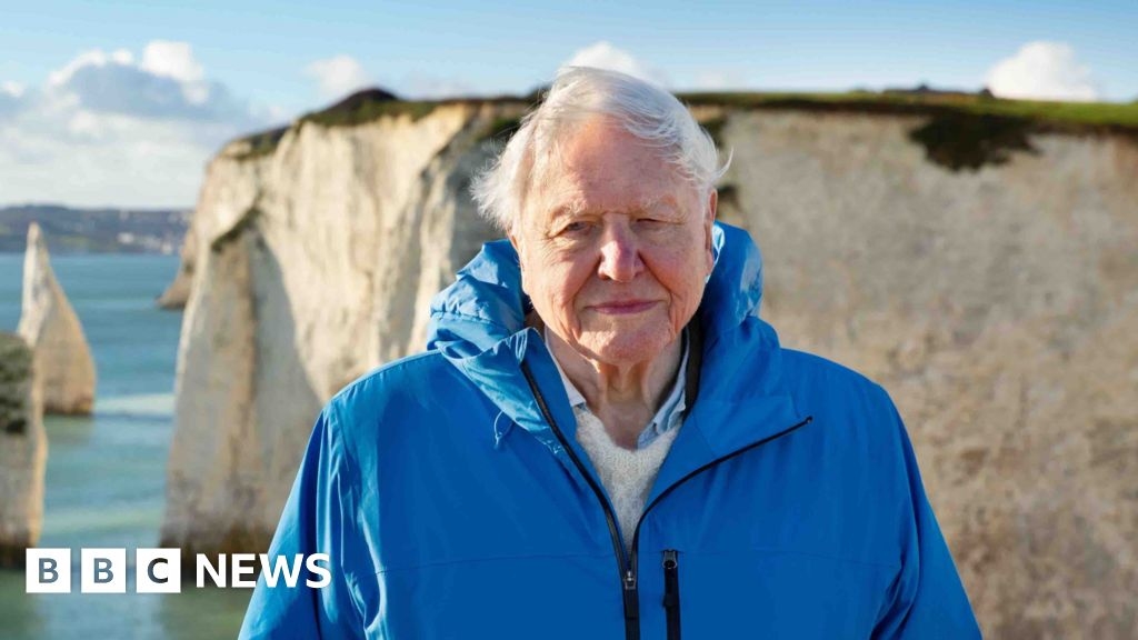 Attenborough Ocean film 'greatest message he's ever told'