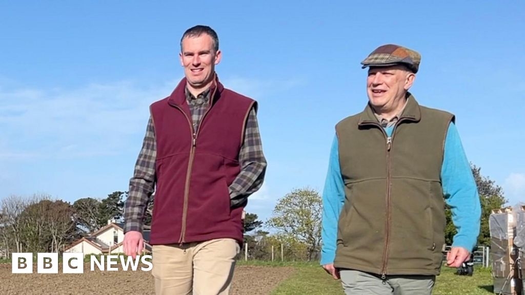 Lockdown idea to open vineyard in Guernsey starts to take root