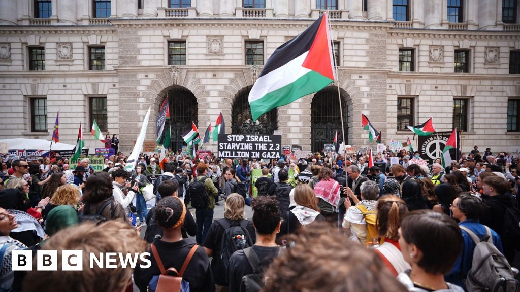 Civil servants told to consider quitting if they disagree with policy over Gaza