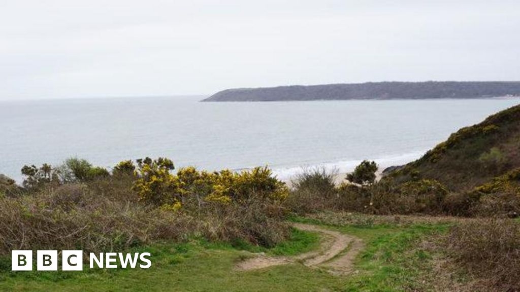 Swansea swimmer dies after getting into difficulty at Tor Bay
