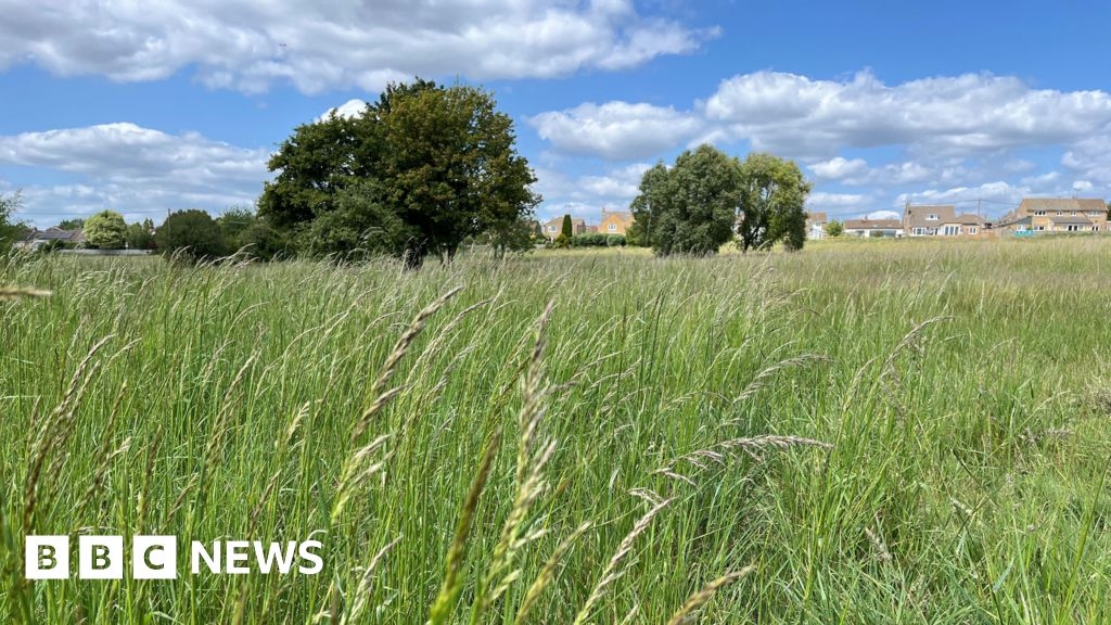 Call for rethink of possible homes on Highworth ex-golf course