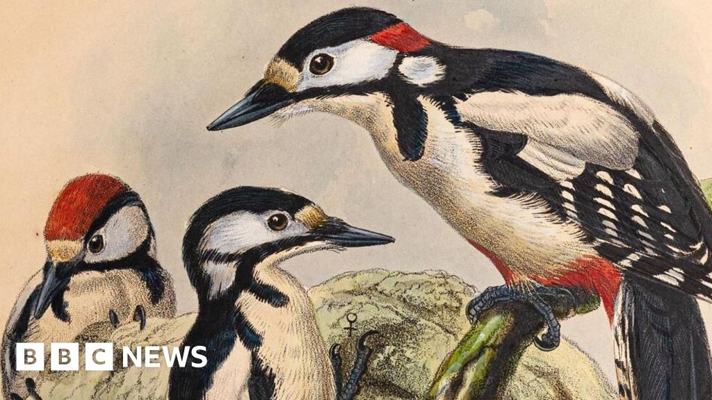 Copy of rare bird book collection worth £127k to stay in the UK