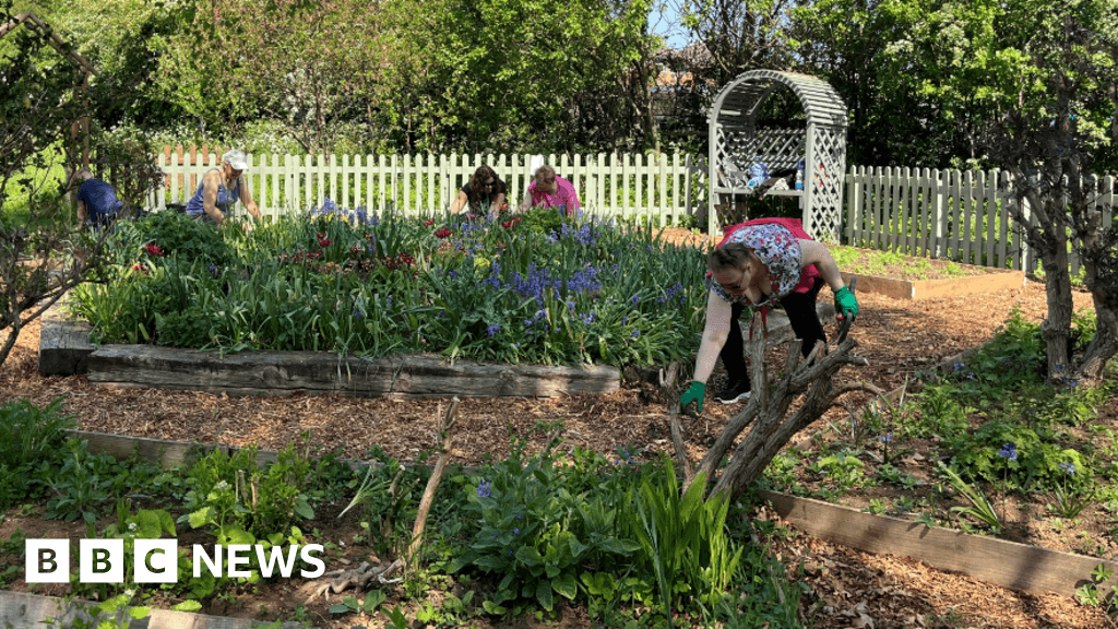 The Green Patch in Kettering helps to support mental wellbeing