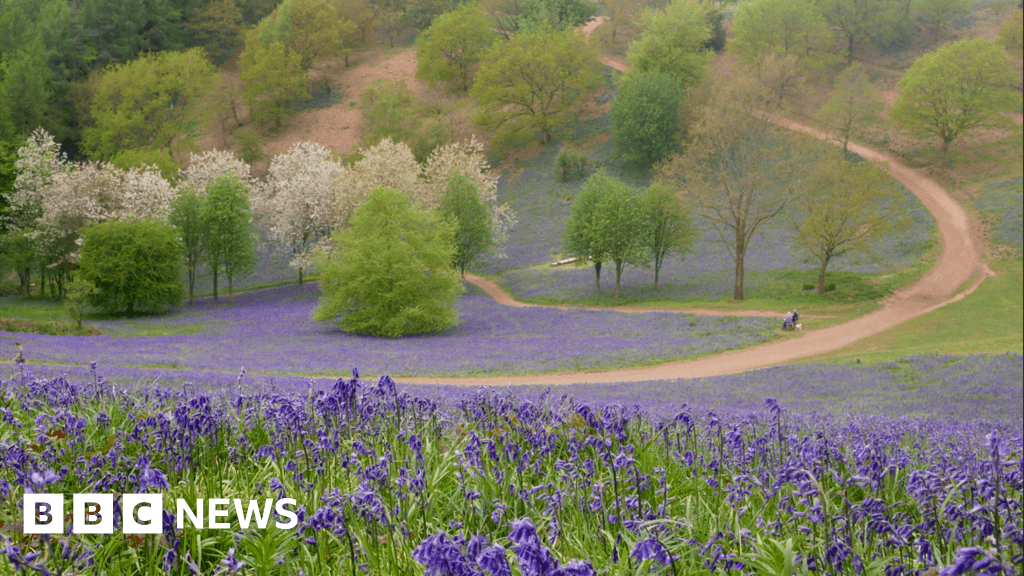 Bank holiday walks and picnic spots in the West Midlands