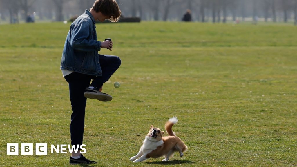 Stricter dog rules to be brought in by Tower Hamlets council