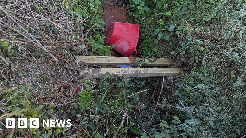 Decapitated dog found dumped in East Yorkshire ditch