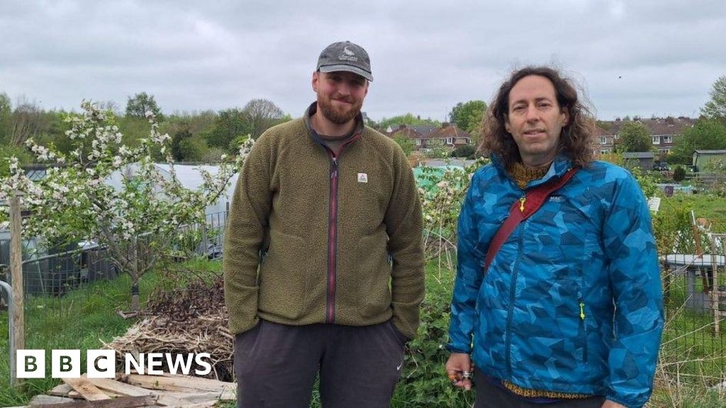 Swindon receives 50,000 newly-planted trees in five years