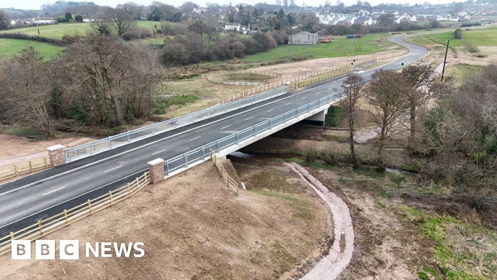 New link road bridge in Dawlish named after flower