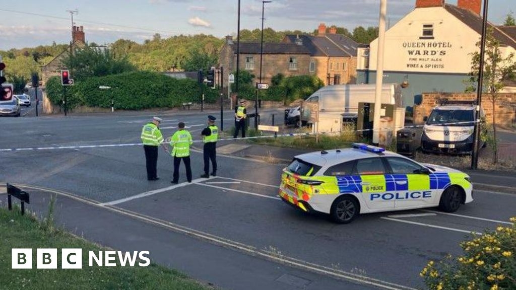 Girl, 11, dies after being hit by van in Mosborough, Sheffield