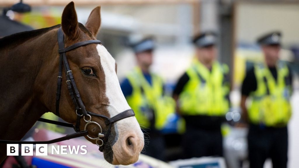 Dorset Police campaign pulls reins on rural horse crime