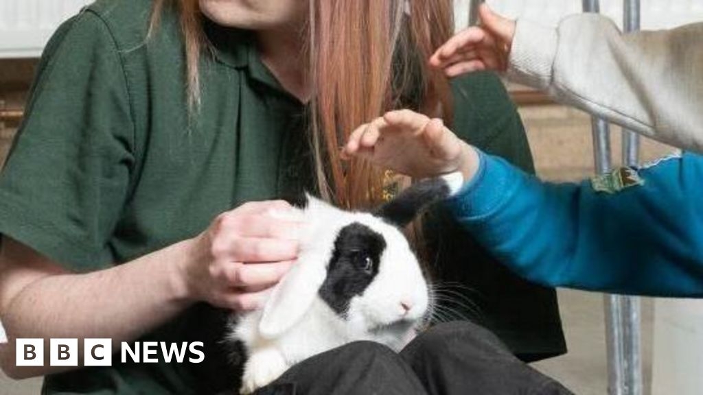 Darlington Market animal experience dropped after vegans' concern
