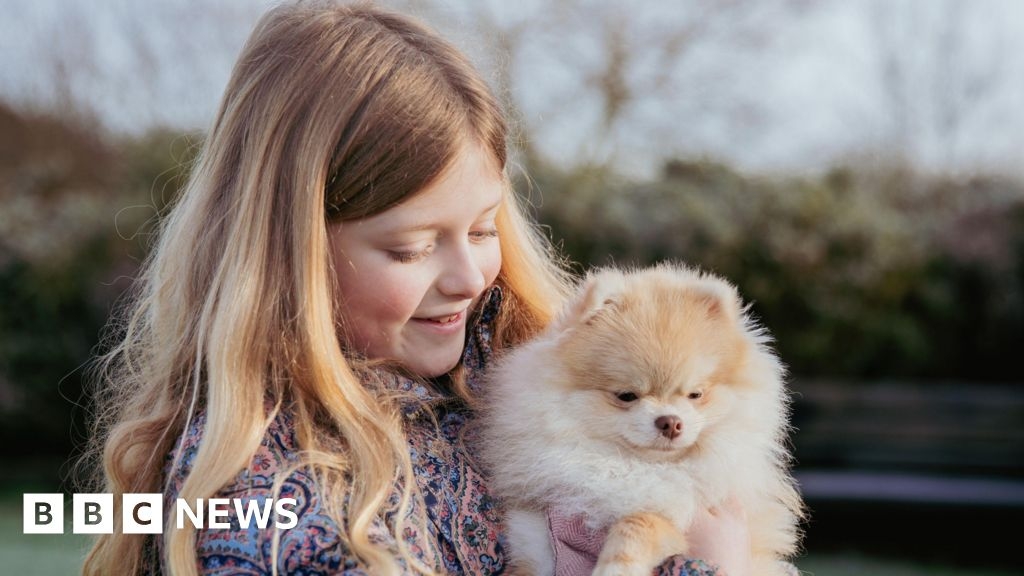 Dog up for Crufts award after helping girl, 9, 'transform life'