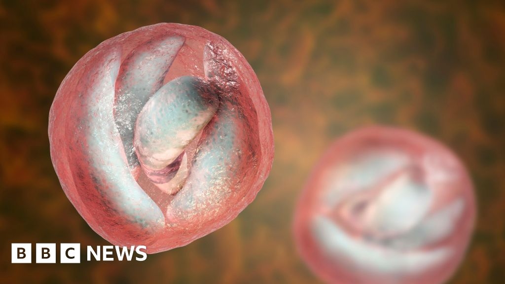 Cryptosporidium: open farm day visitors warned over parasite risk