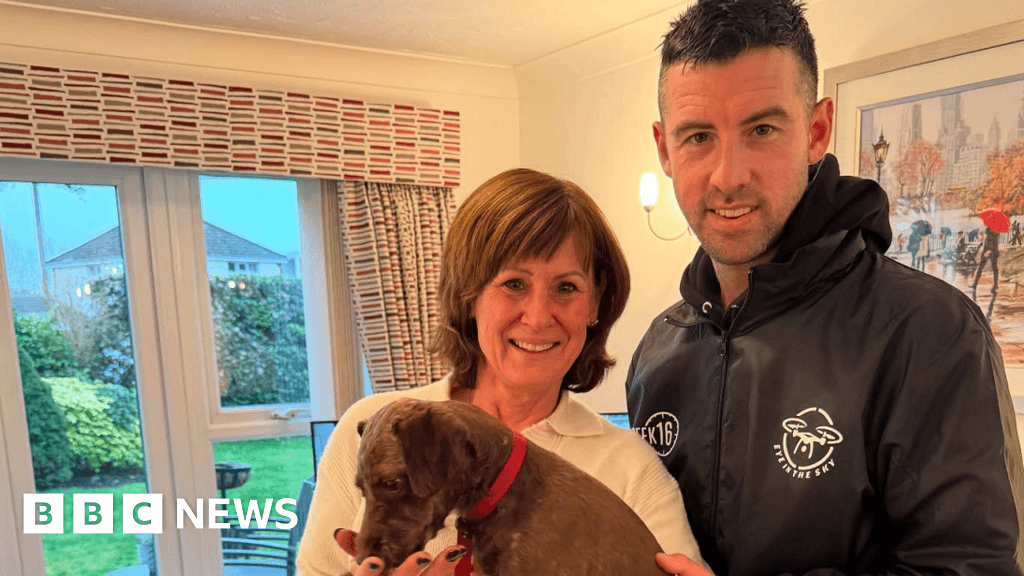 Wimborne: Veteran using experience to help find lost dogs