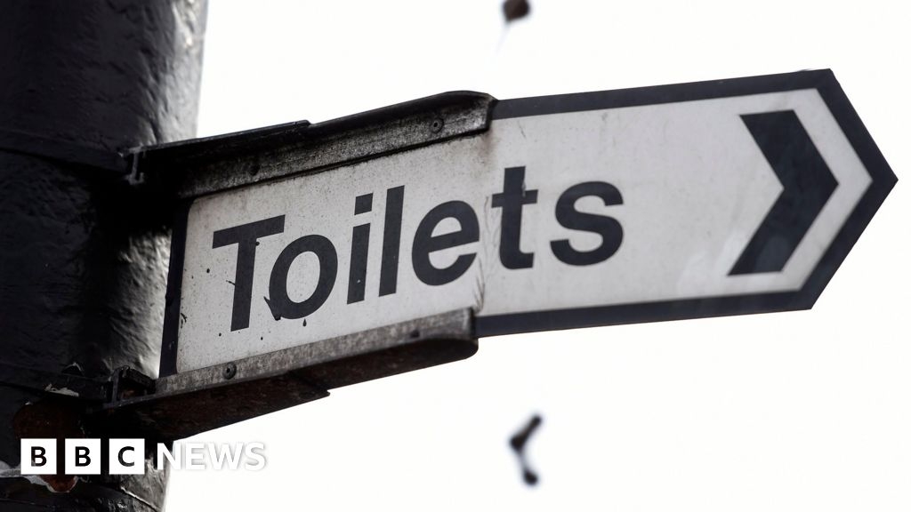 Public toilet restoration approved by Chichester District Council