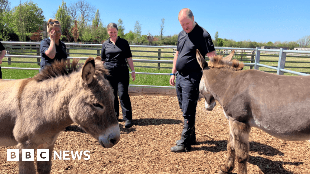 Devon and Cornwall Police handle donkeys in rural crime crackdown