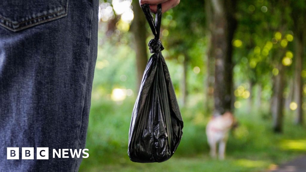 East Yorkshire and Lincolnshire councils crackdown on dog fouling