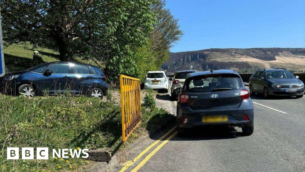 Farmer blames parking chaos for pregnant sheep's death
