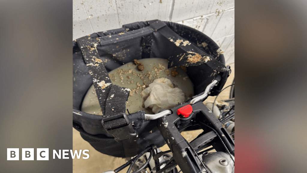 Clarion apologises for delay in fixing sewage leaks at Hove flats