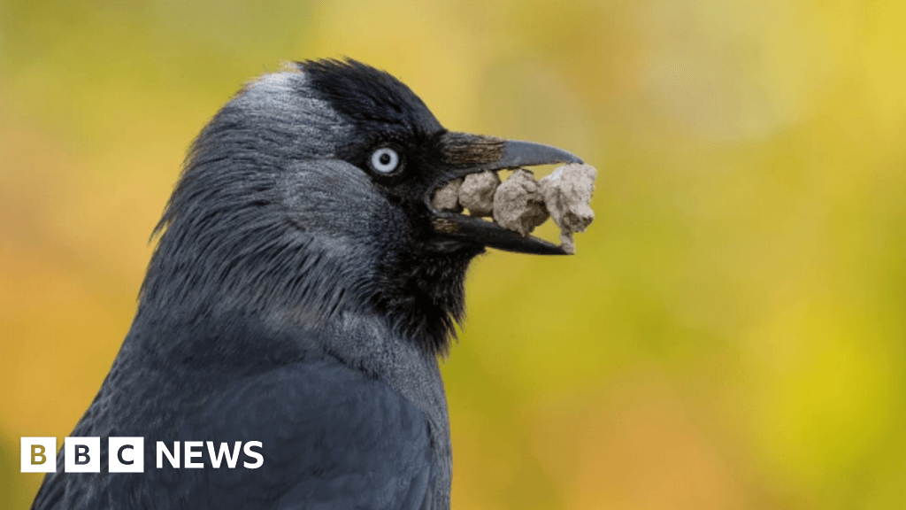 Prestigious photography exhibition returns to Guernsey