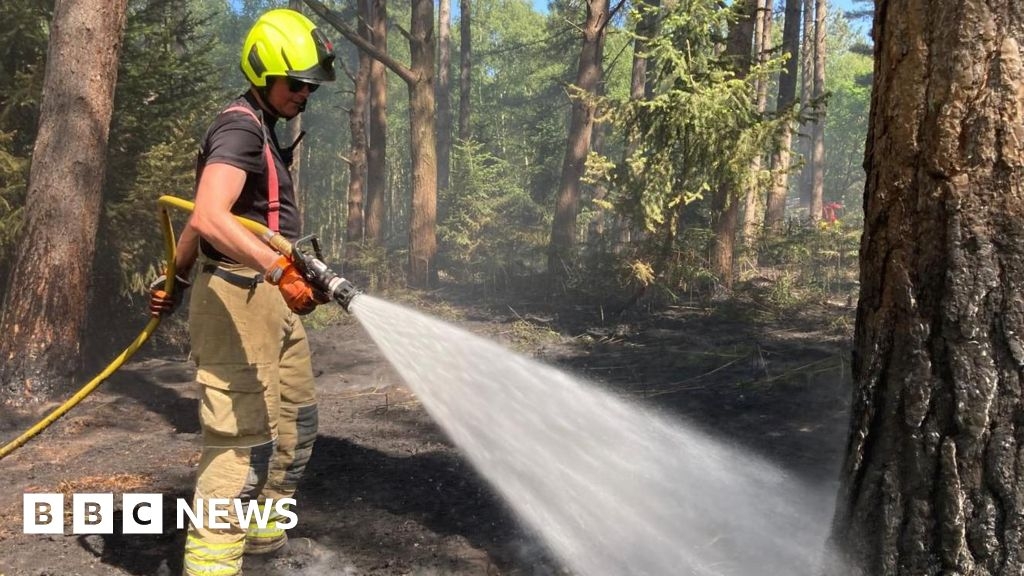 Eight fire crews and RAF tanker fight forest blaze in Suffolk