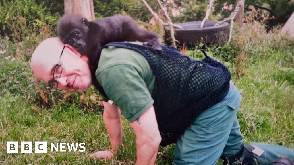Bristol Zoo: Raising baby gorillas at home an 'amazing experience'