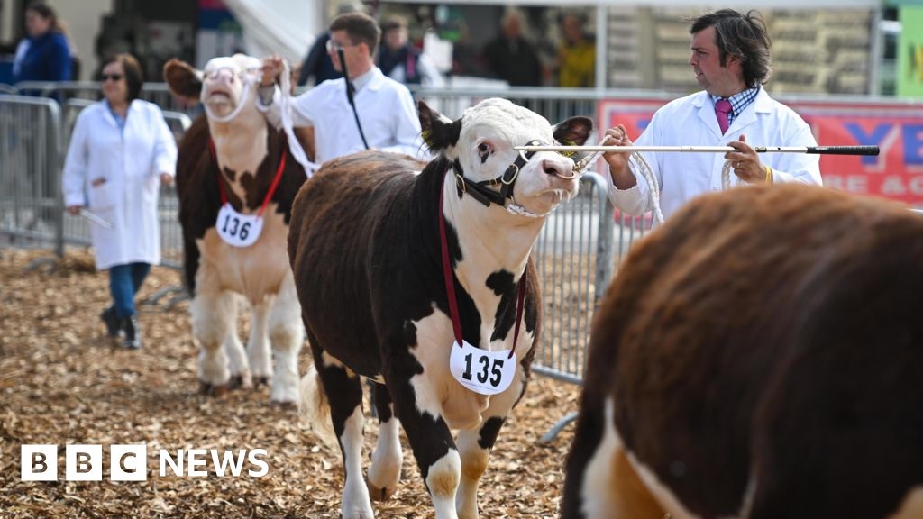 Royal Bath and West Show 2025: Everything you need to know