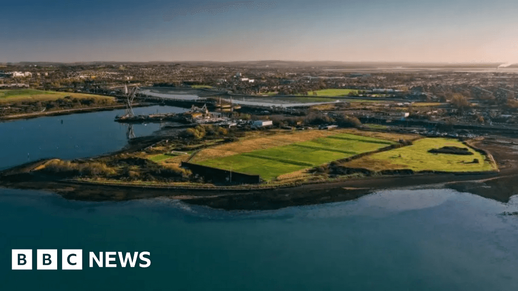 Tipner West: Government backs wildlife charities to protect land