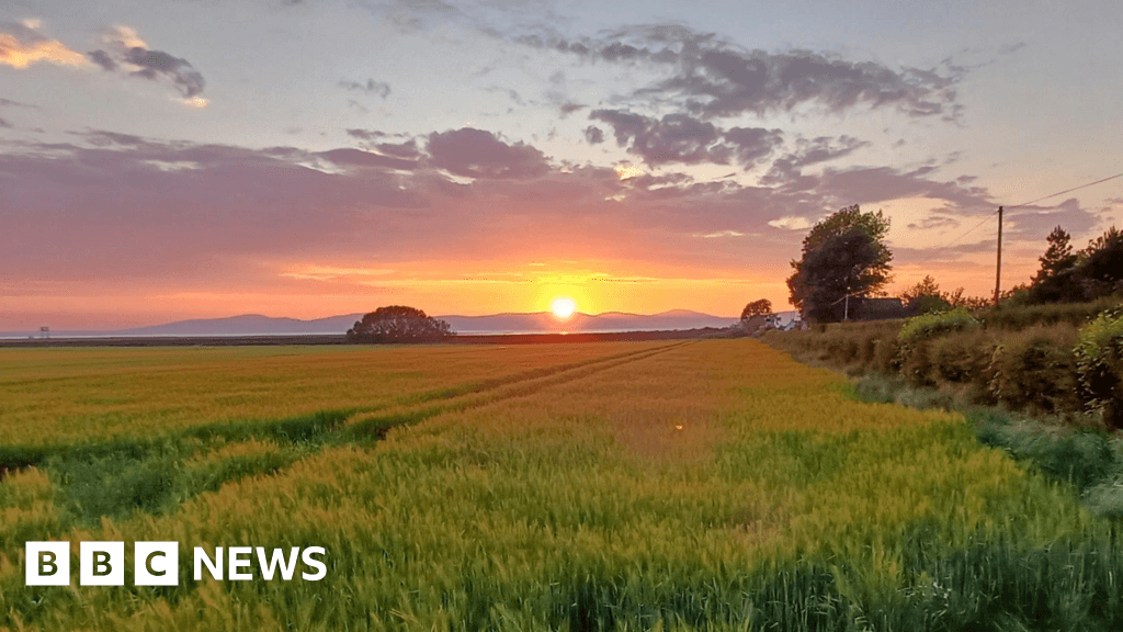 Wildfire warnings for NI as high temperatures continue