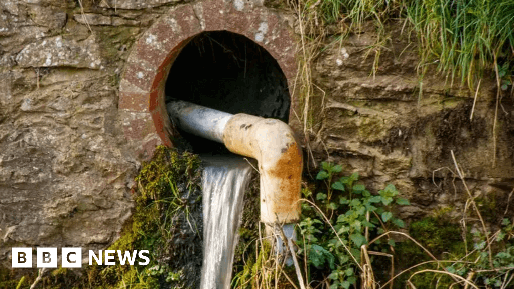 Welsh environment law aims to protect rivers and nature
