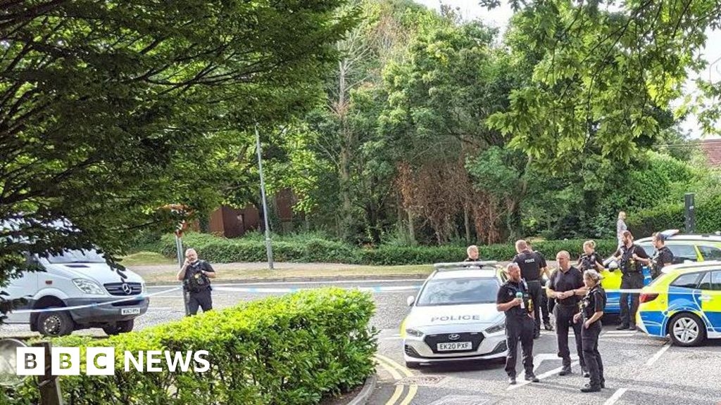 Palestine Action members charged after incident at Elbit Systems