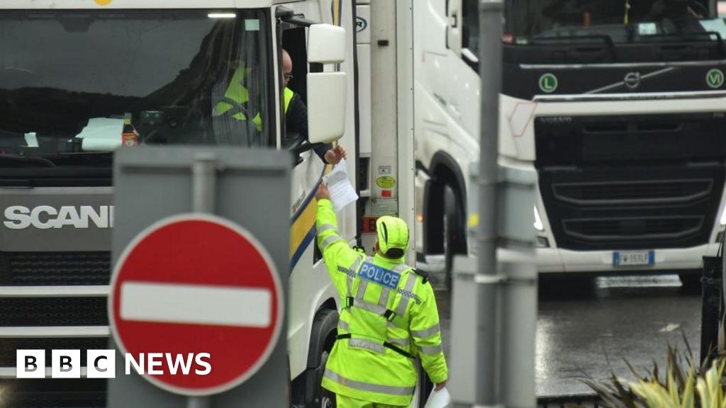 Foot-and-mouth outbreak 'when, not if' - Port of Dover boss