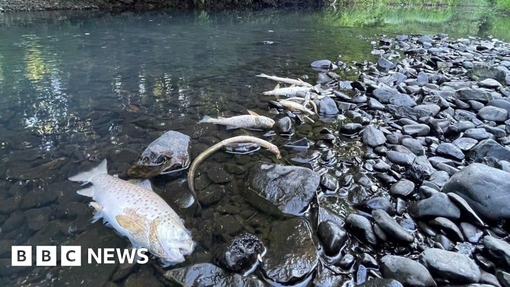Windermere swater quality monitors moved after activist tests