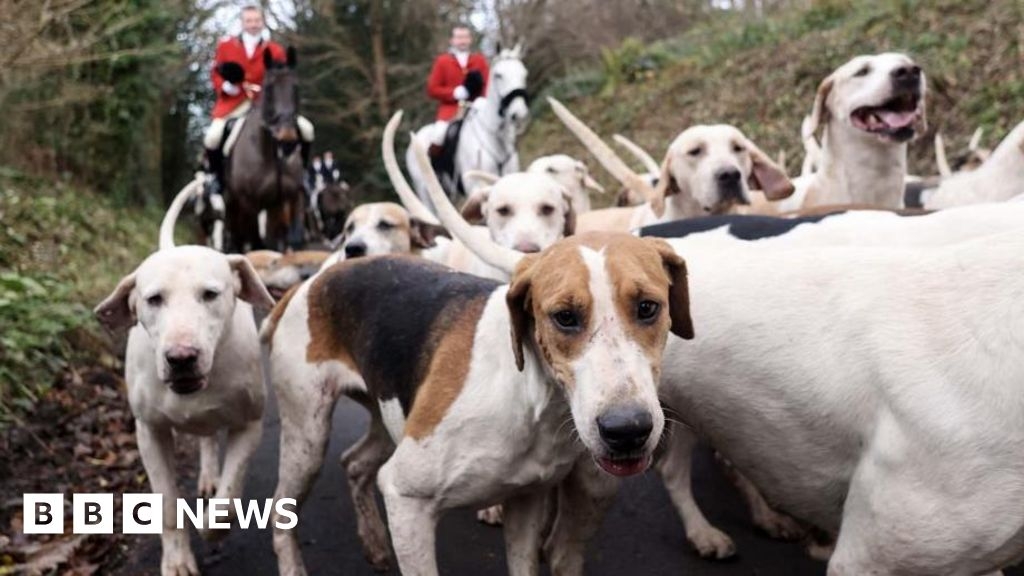 Trail hunting used as 'smokescreen' 20 years on from ban