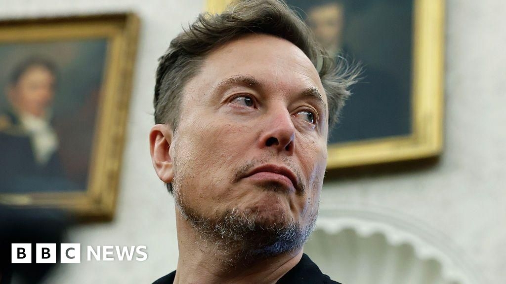 Who is Elon Musk and what is his net worth?