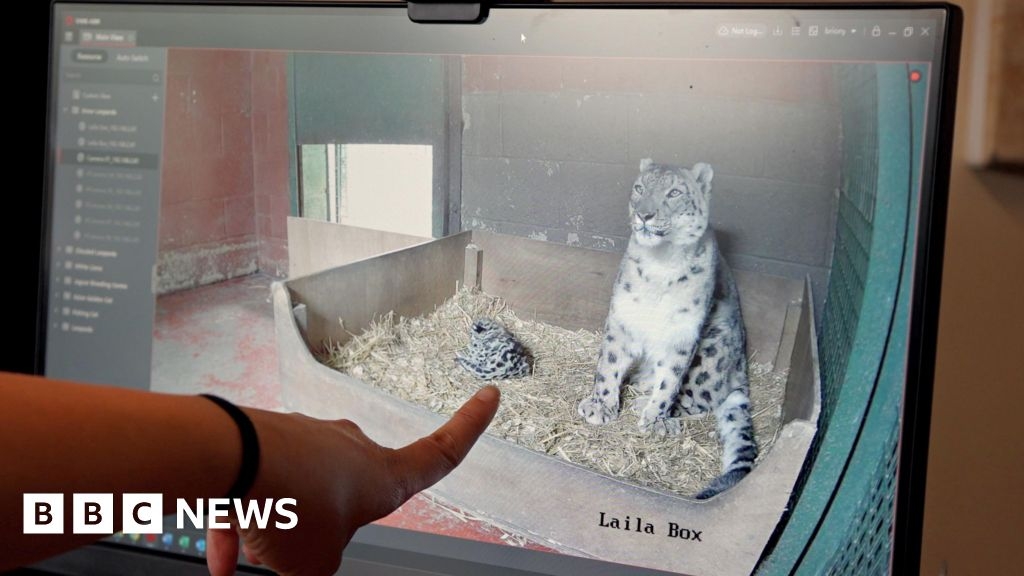 CCTV 'absolutely pivotal' at Smarden's Big Cat Sanctuary