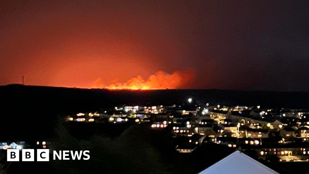 Animals likely killed in 'mindless' Cornwall nature reserve fire